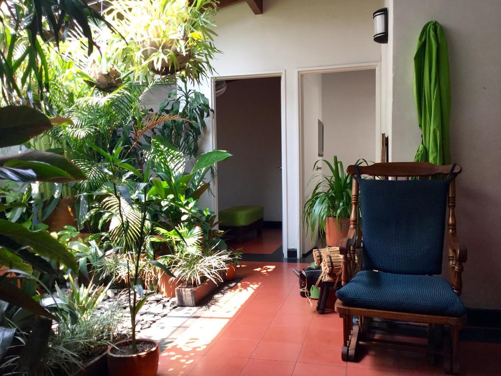 Saman Hostel Medellín Exteriör bild