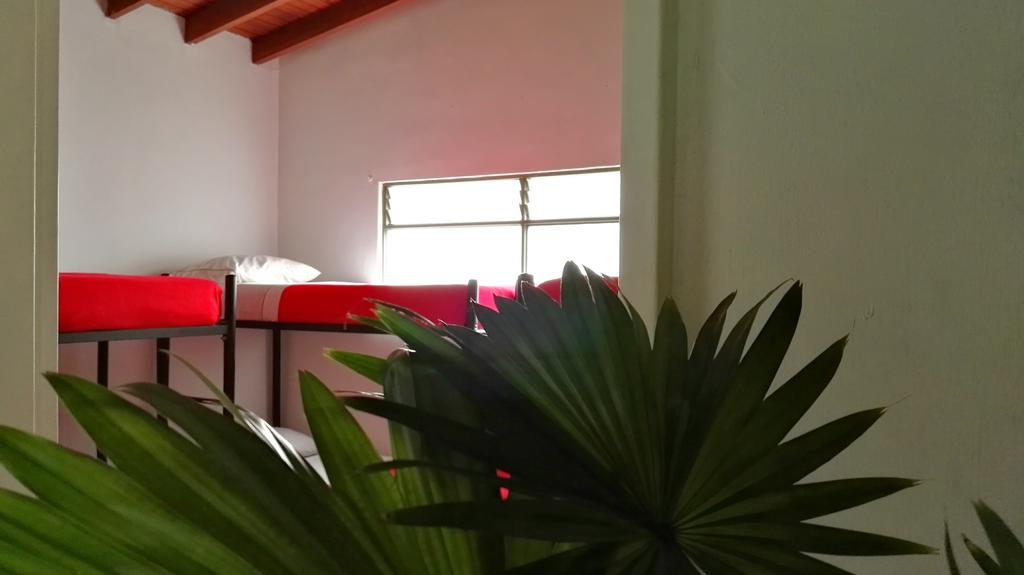 Saman Hostel Medellín Exteriör bild