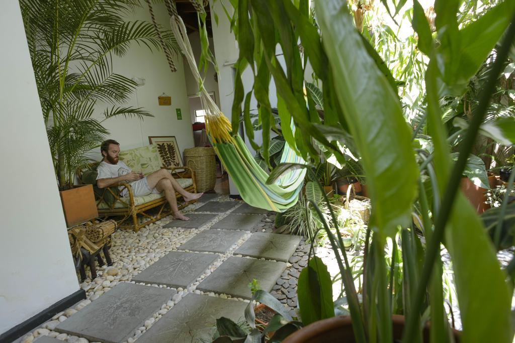 Saman Hostel Medellín Exteriör bild