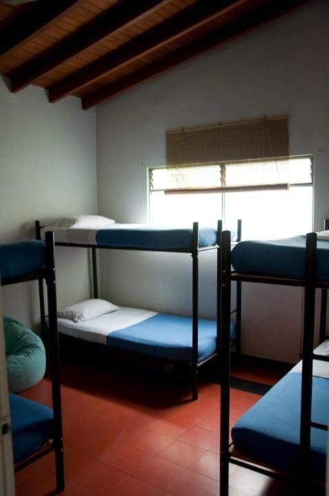 Saman Hostel Medellín Exteriör bild